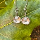  Ocean Whisper – Fine Silver Cockle Shell & Pearl Earrings