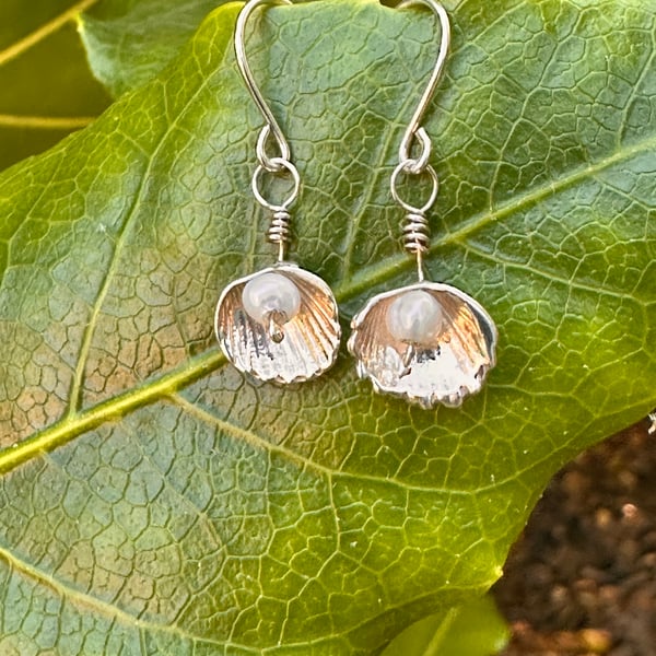  Ocean Whisper – Fine Silver Cockle Shell & Pearl Earrings