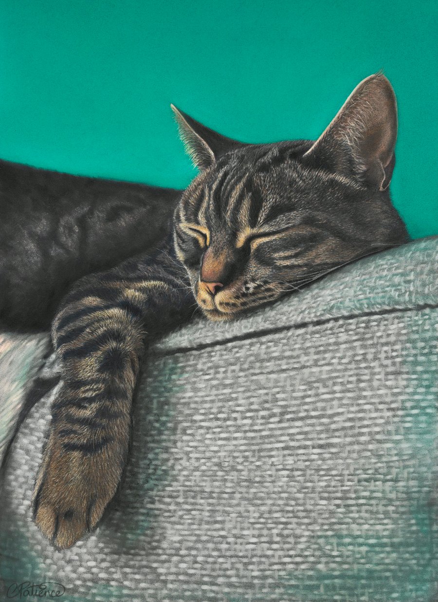 'Sleepy Days', Cat - 5x7 - signed open edition giclee print
