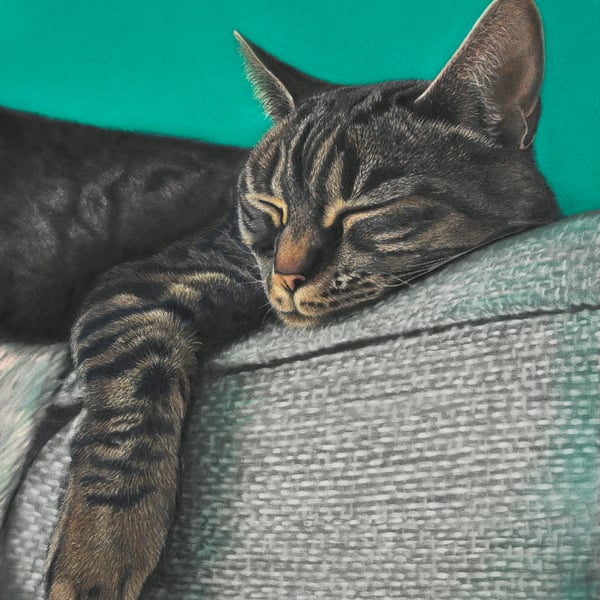 'Sleepy Days', Cat - 5x7 - signed open edition giclee print