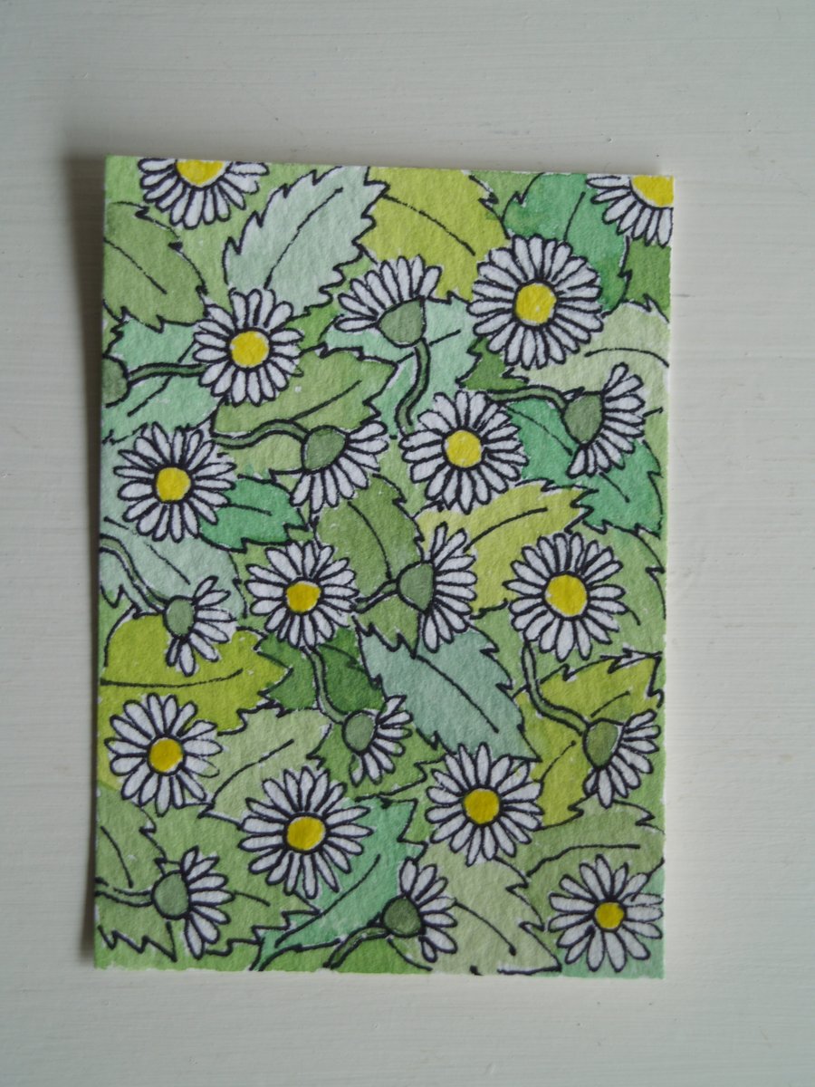 ACEO Daisies
