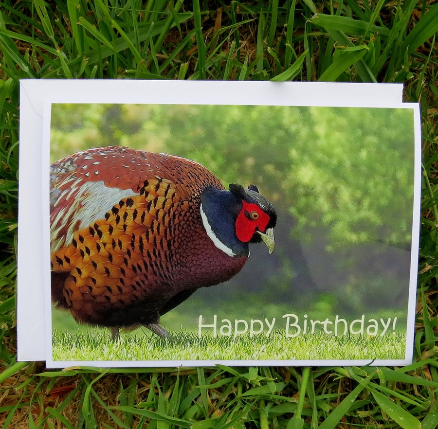 Happy Birthday!  A card featuring an original photograph.  Blank inside.