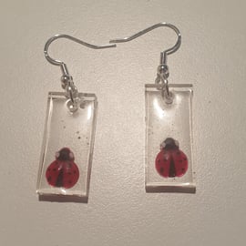 Rectangle ladybird resin earrings