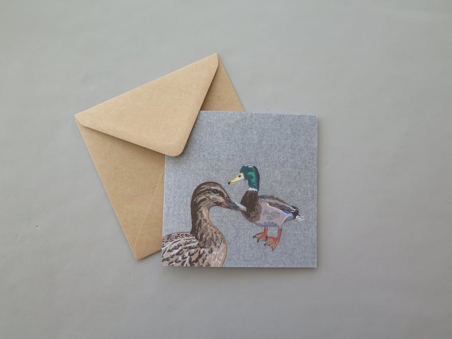 Mallard ducks card
