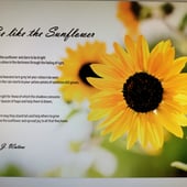 The Waterford Wordsmith