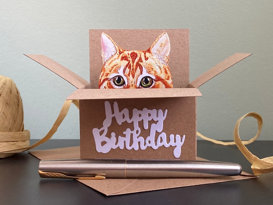 Cat Birthday Card. Ginger cat box card. Birthday gift card holder for cat lovers