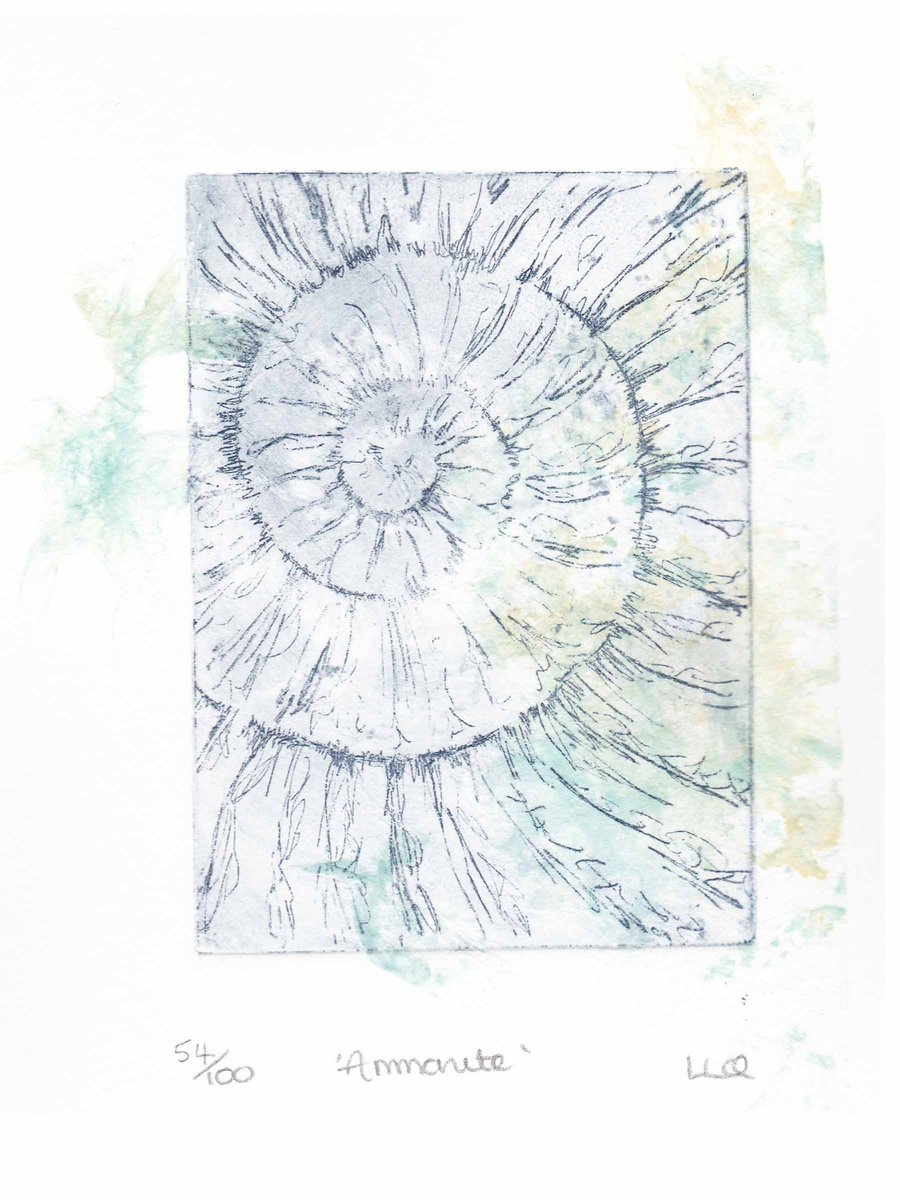 Etching no.54 of an ammonite fossil with chine colle in an edition of 100