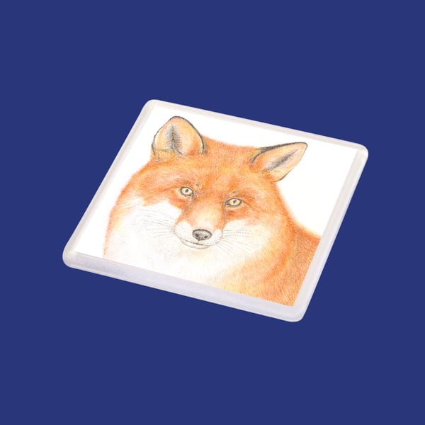 Fox - Coaster