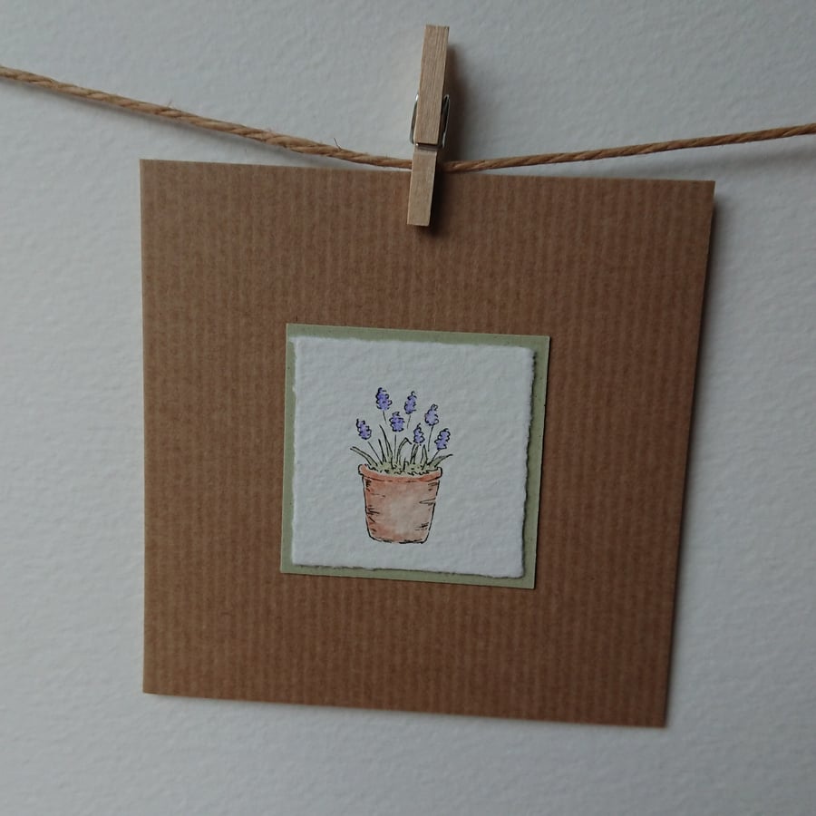 Card - Grape Hyacinth - original drawing - blank inside for any occasion