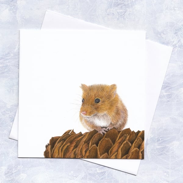 Greetings Card - a cute Harvest Mouse on a Pine Cone 
