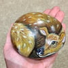 Deer hand painted pebble garden rock stone wildlife gift 