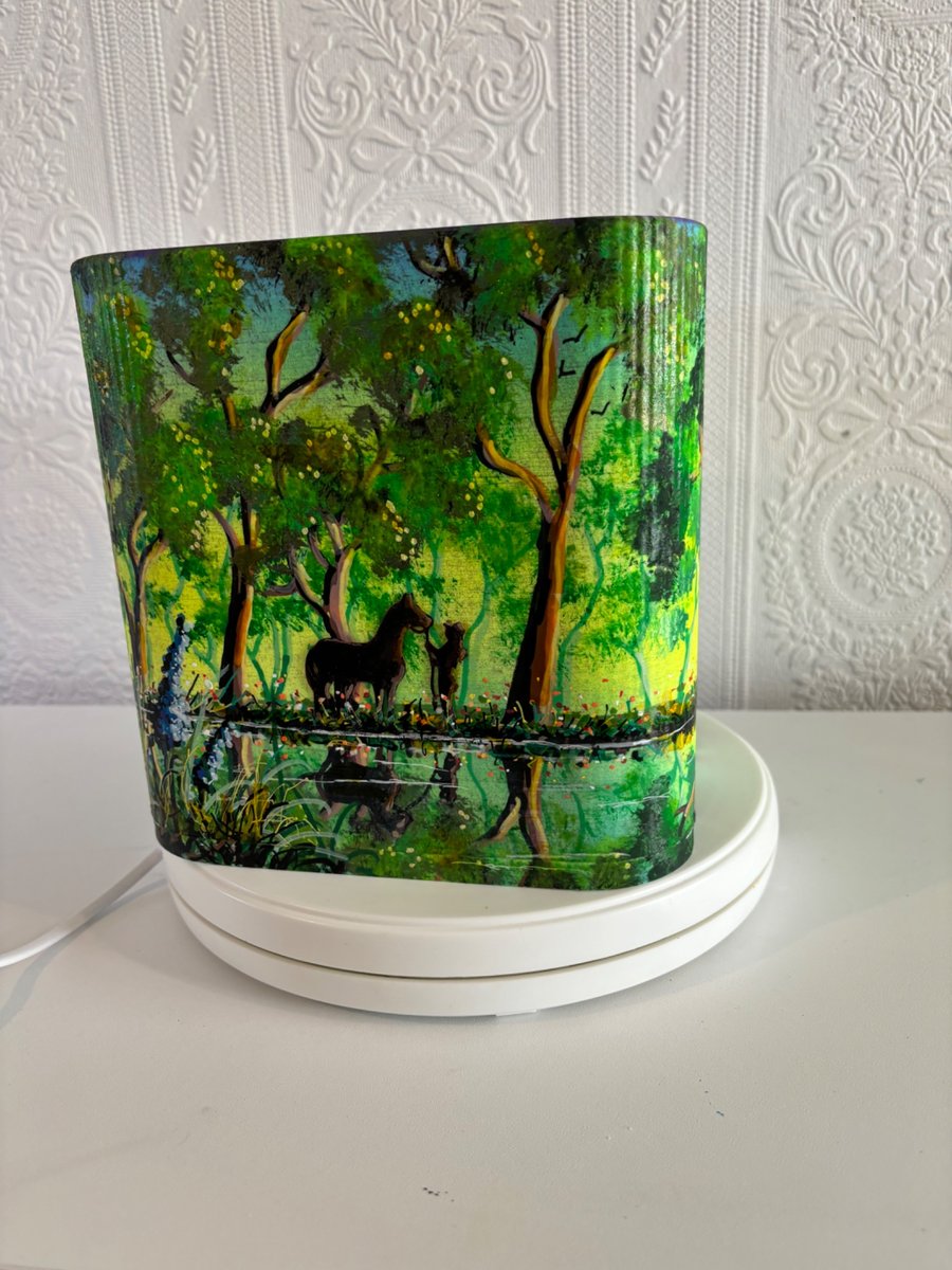 Spring Glow by Andrew Jenkins 