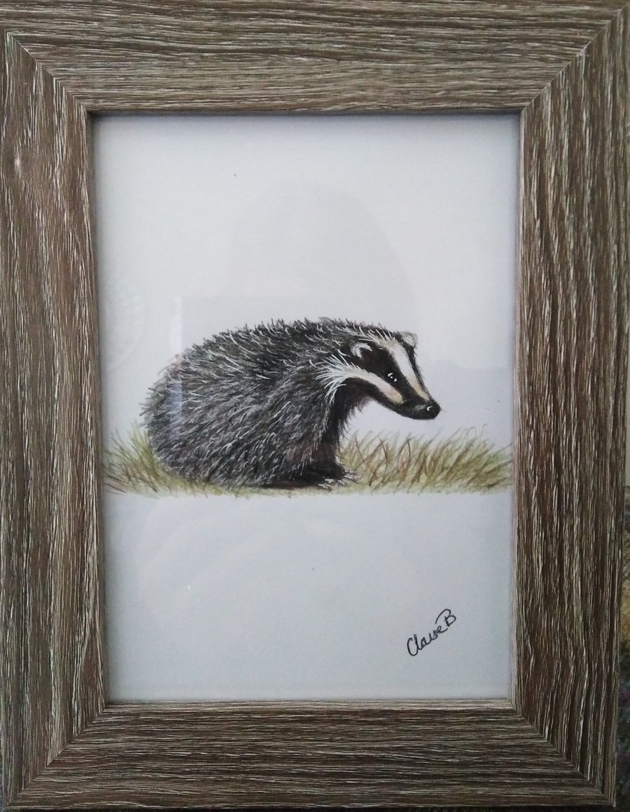 Hand drawn framed badger wall art