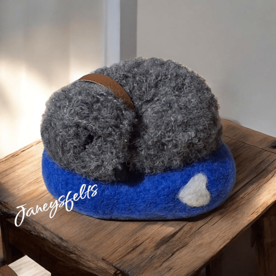 Little grey sleeping dog