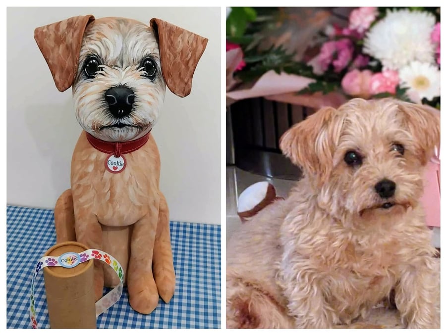 Pet Memorials 