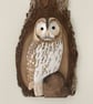 Tawny owl in tree - Image 2