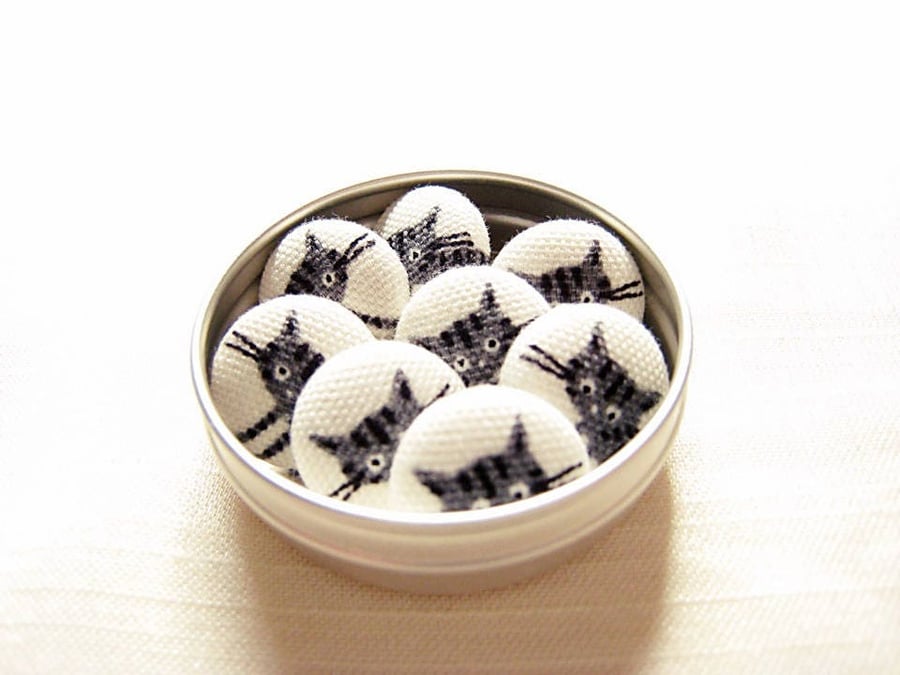 Cat magnets or drawing pin gift set tin 8x15mm black grey tabby kittens