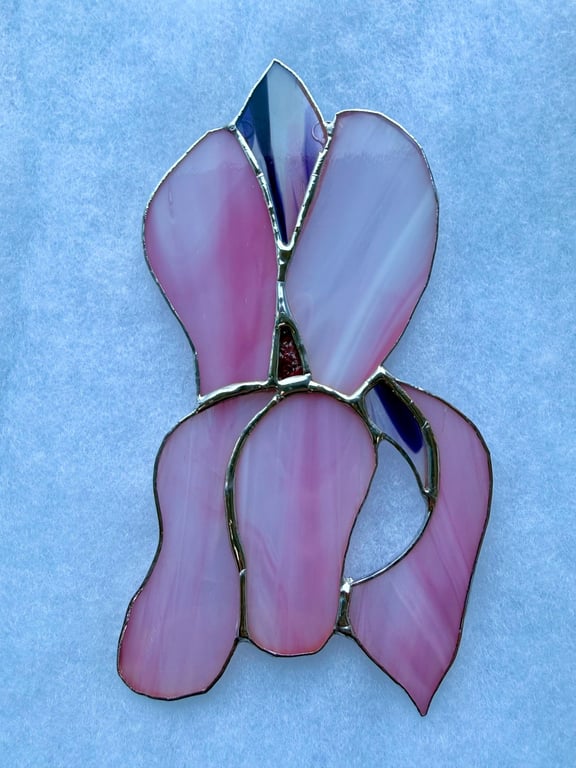 Stained glass iris - wispy pink petals