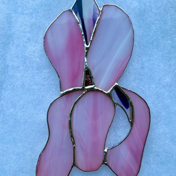 Stained glass iris - wispy pink petals