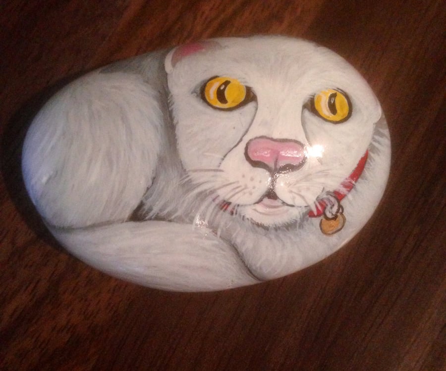 Hand painted white comic cat wearing collar