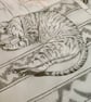 Portuguese Cat - Image 1