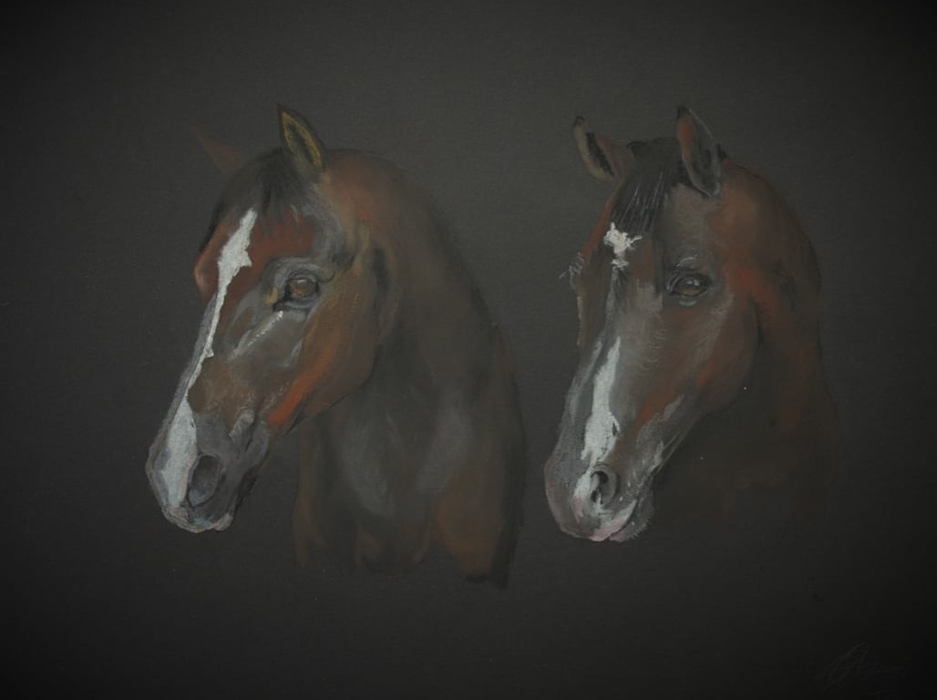 Two handsome horses A3 print