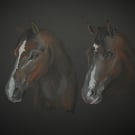 Two horses A3 print