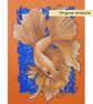 Fancy Betta Fish drawing, original artwork, fish wall art