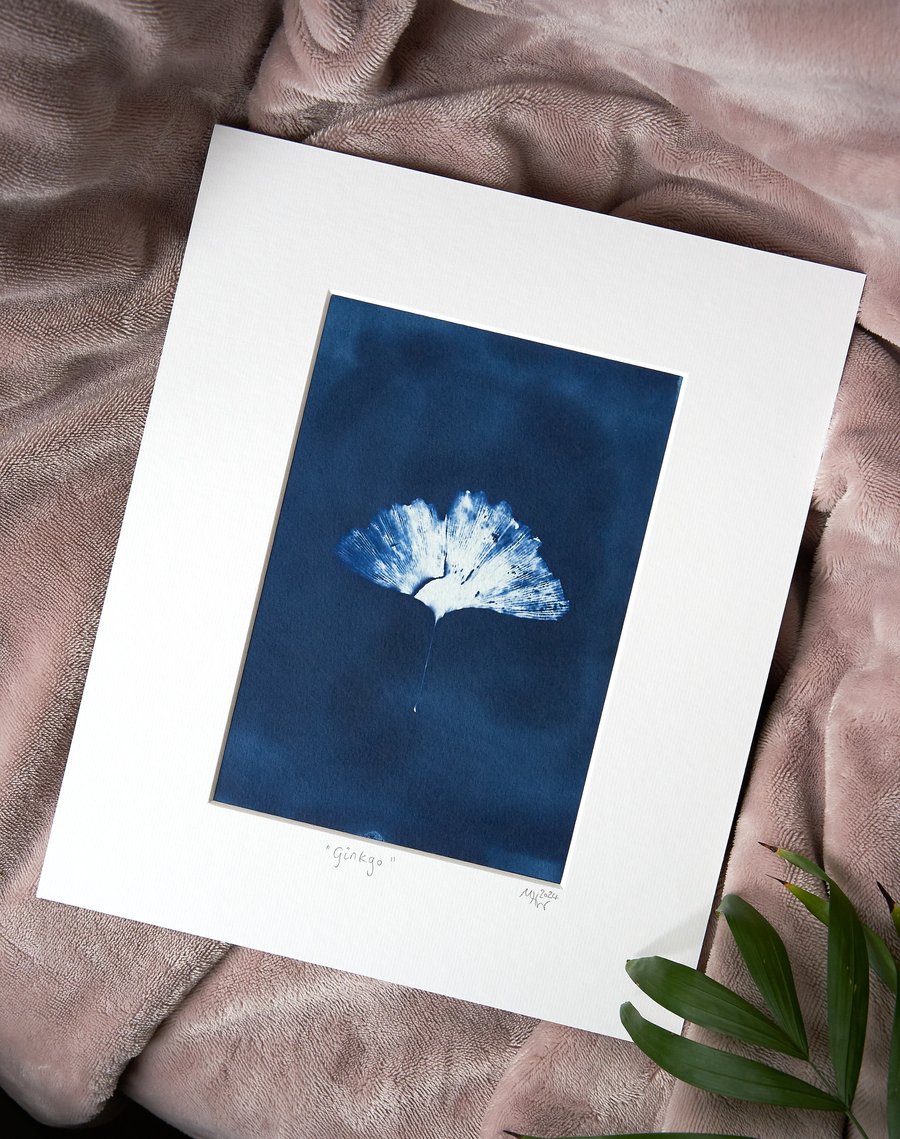 cyanotype print: "Ginkgo". Original, one of a kind, mounted ready to frame.