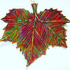 London plane leaf hanging