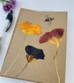 Handmade Real Pressed Flower, Greeting Card, Nasturtiums, Birthday - Image 3