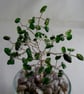  Chrome Diopside Gemstone Tree. - Image 9