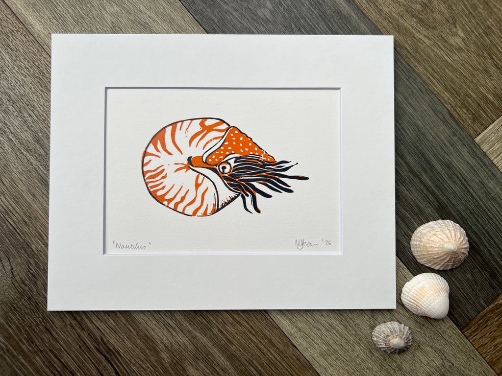 Nautilus Original Handmade Lino Print Mounted