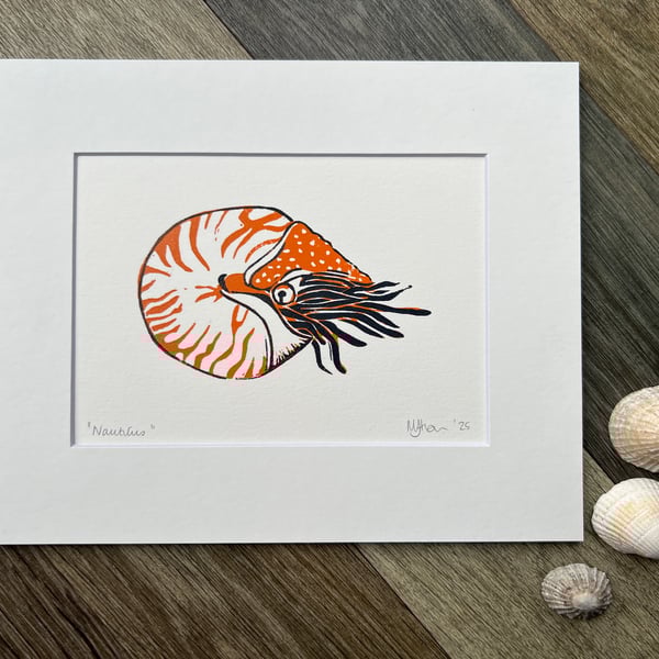 Nautilus Original Handmade Lino Print Mounted