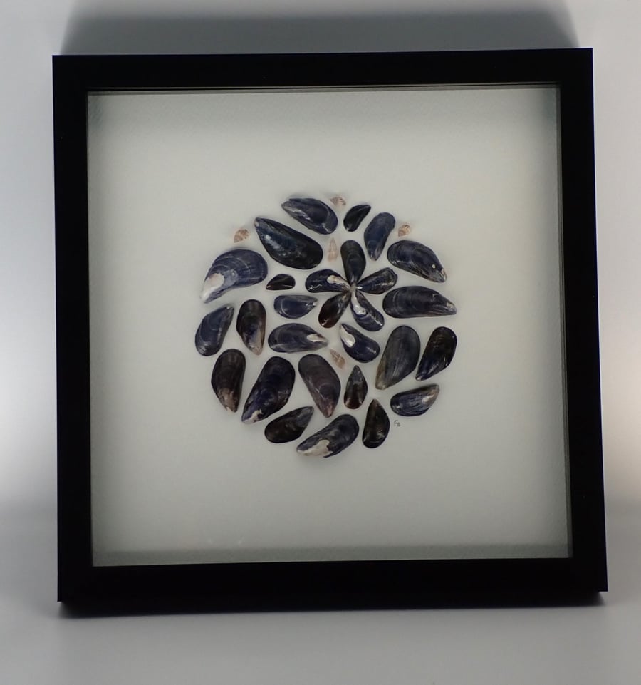 Mussel Circle 10x10 inch