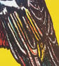 Chaffinch, 4-colour screen print - Image 4