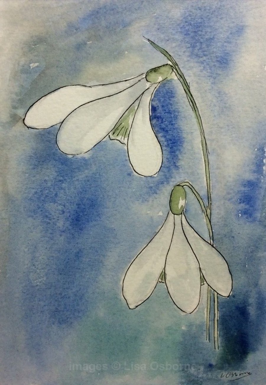 Snowdrops - signed print from watercolour painting