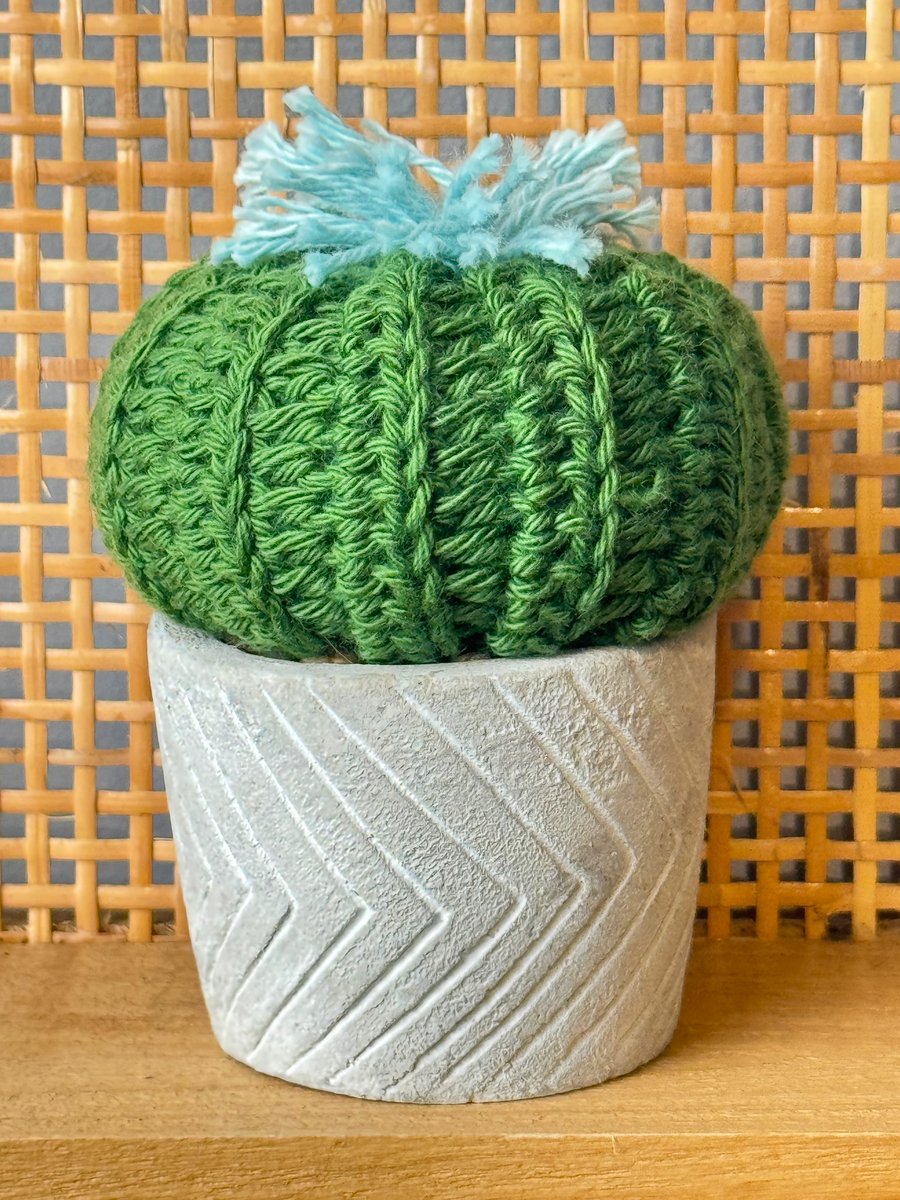 Crochet Handmade Cactus in pot