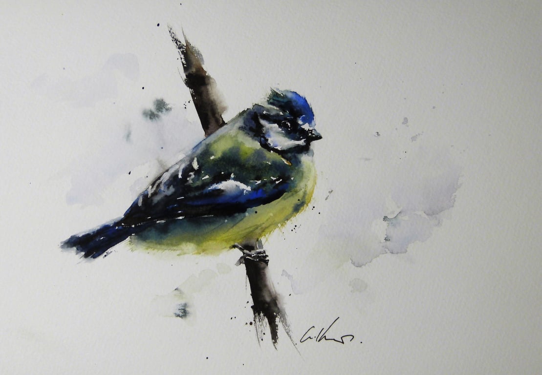 Blue Tit, Professional Giclée Print.