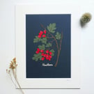 Botanical Papercut - Hawthorn - Original Art