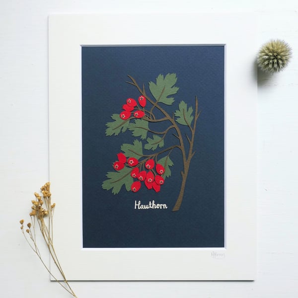 Botanical Papercut - Hawthorn - Original Art