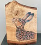 Brown hare original painting on oak