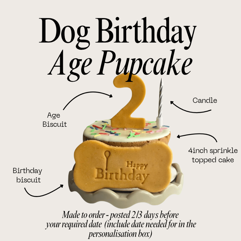 Dog Birthday Cake treat box, Homemade iced cake and biscuits 