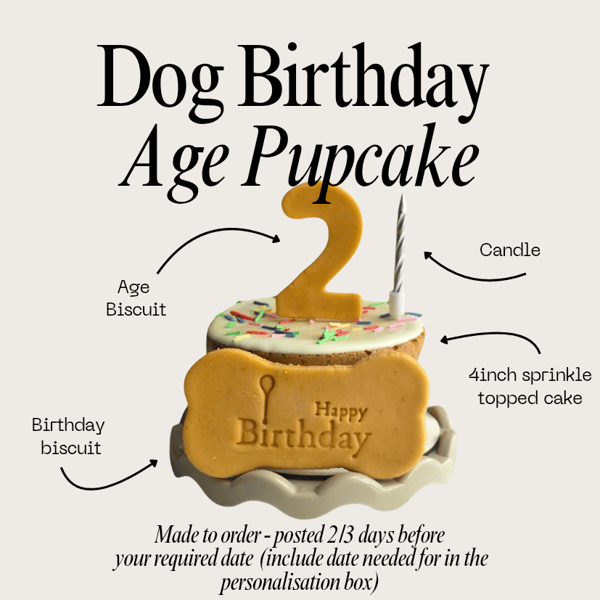 Dog Birthday Cake treat box, Homemade iced cake and biscuits 