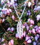 Tiny Silver Leaf Pendant - Recycled Silver Leaf Necklace - Image 1