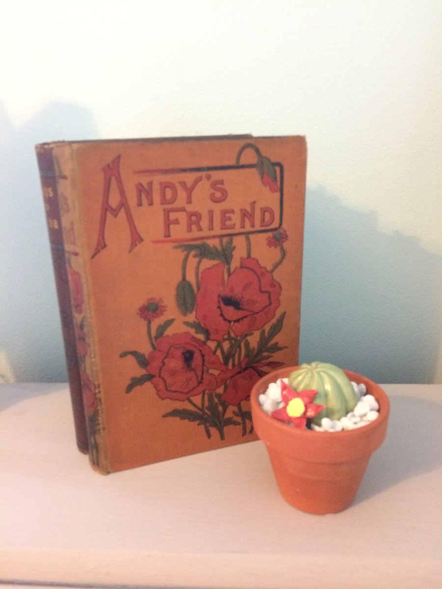 cute ceramic cactus - flowering cactus in a terracotta pot