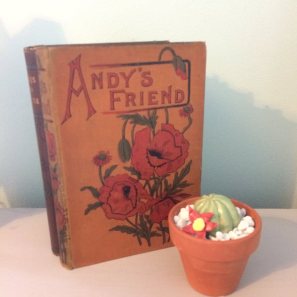 cute ceramic cactus - flowering cactus in a terracotta pot