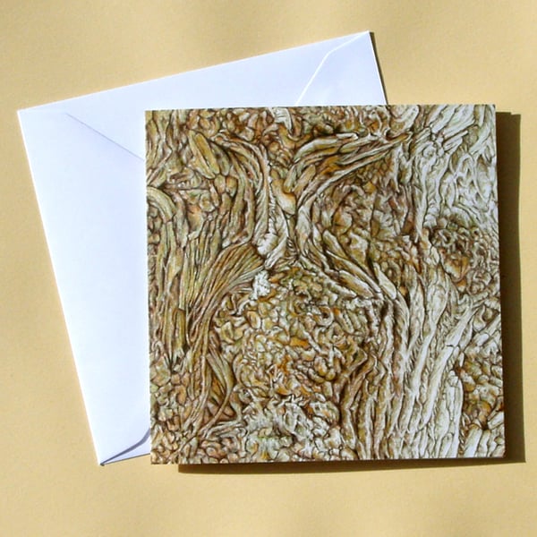 Greetings Card - Blank - Tulip Tree Bark