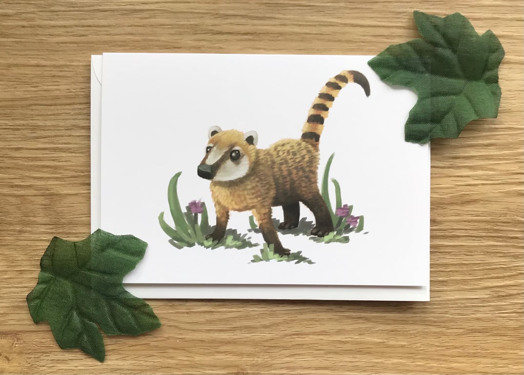 Coati blank greeting card