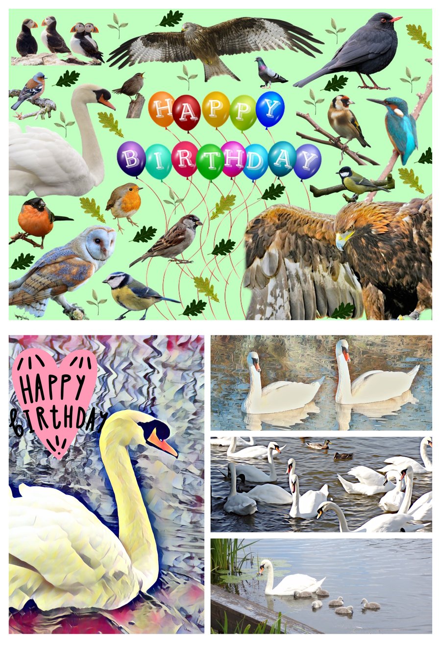Pack of 2 A5 Greeting Cards Happy Birthday Bird Themed 